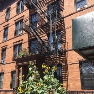 Meet your Posher, Sabrina